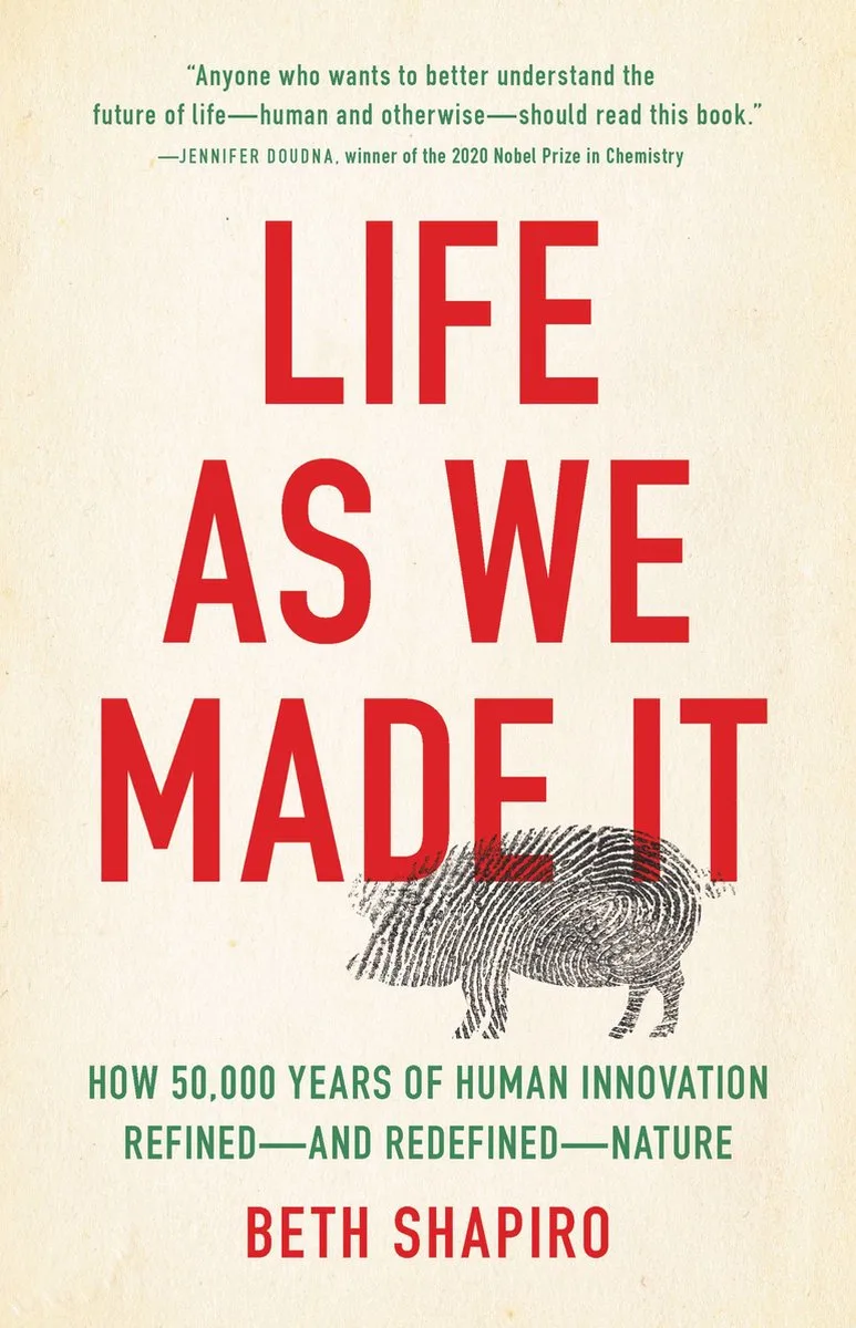 Life as We Made It von Oneworld – Buchfoto