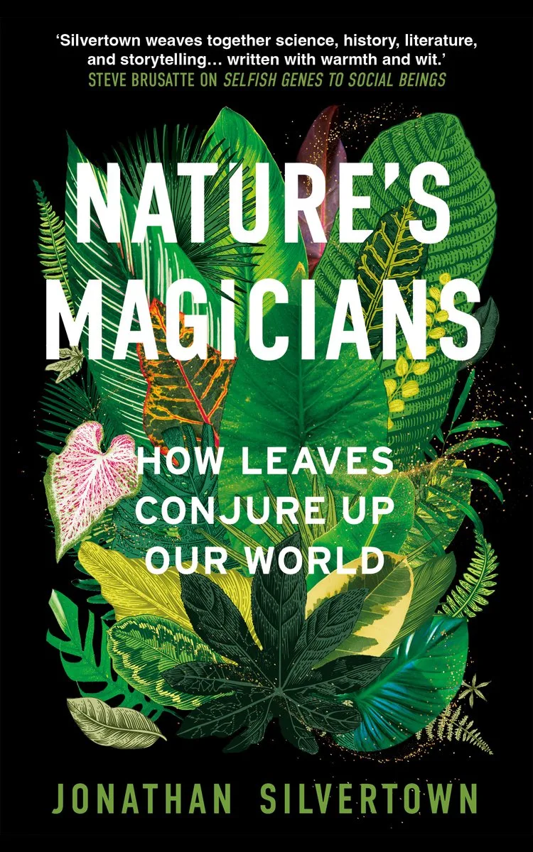 Nature's Magicians von Oneworld – Buchfoto