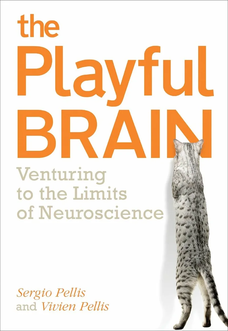 The Playful Brain de Oneworld – photo du livre