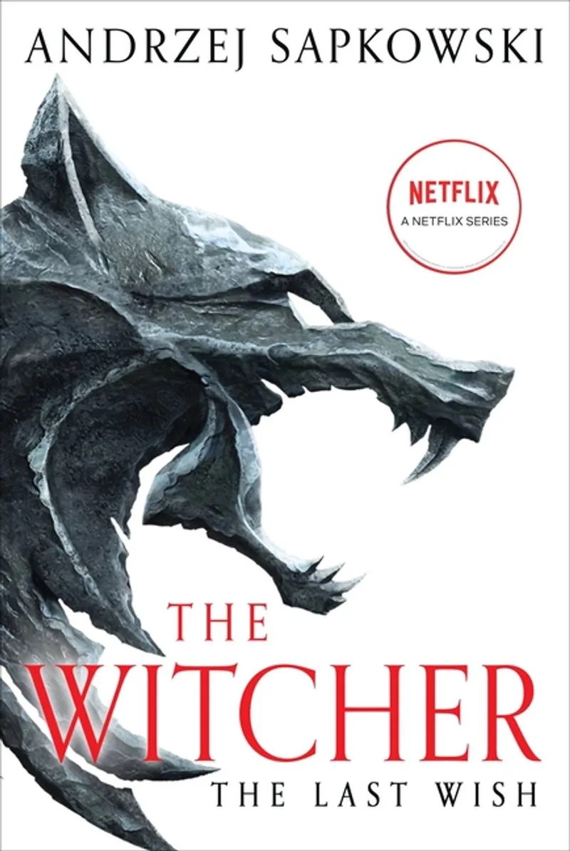 Witcher-The Last Wish von Orbit – Buchfoto
