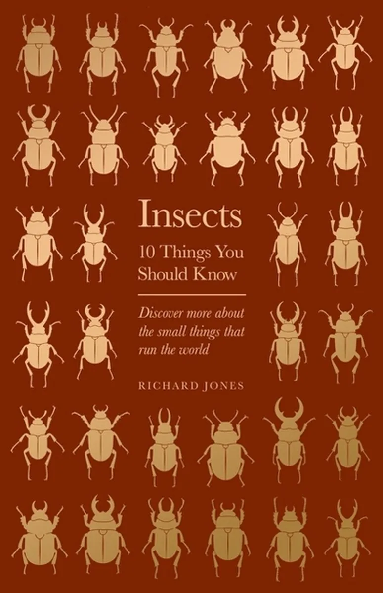 Insects fra Orion – billede af bogen