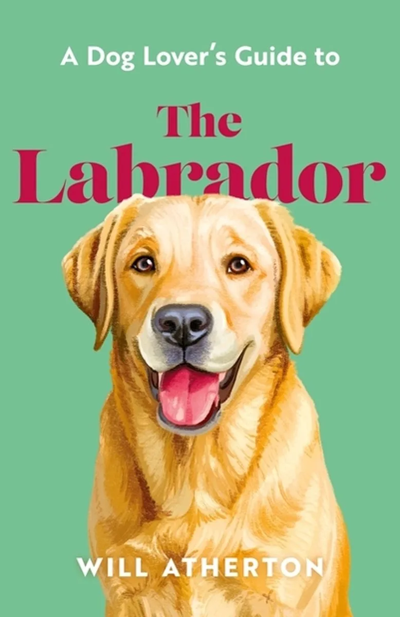 The Labrador von Orion – Buchfoto