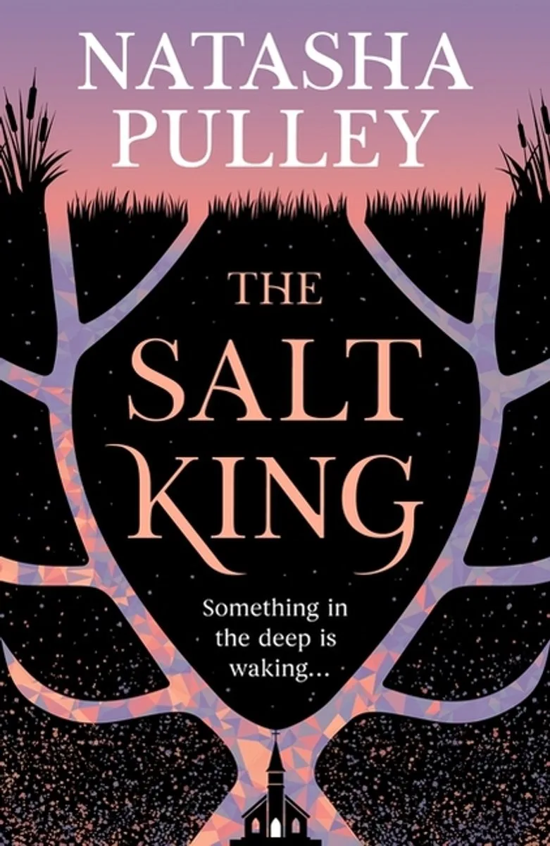 The Salt King fra Orion – billede af bogen