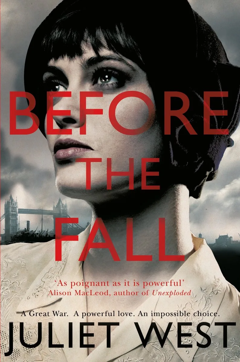 Before The Fall by Pan Macmillan – book photo