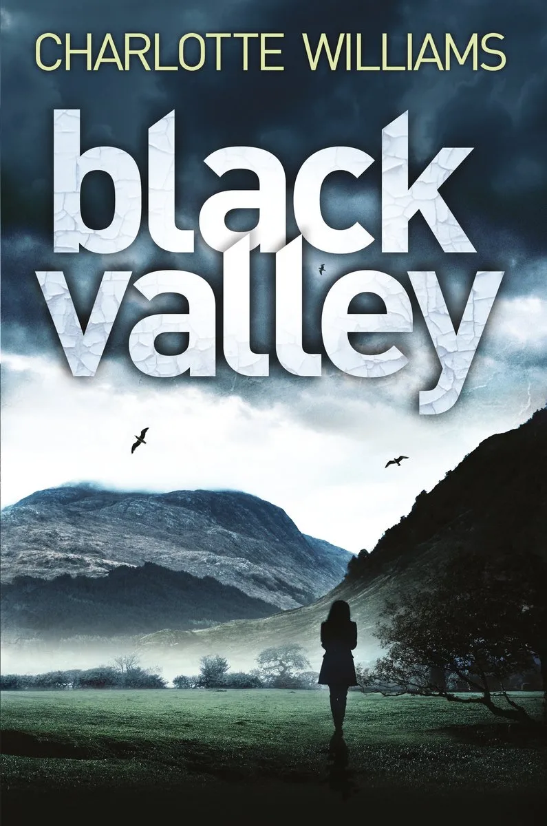 Black Valley von Pan Macmillan – Buchfoto