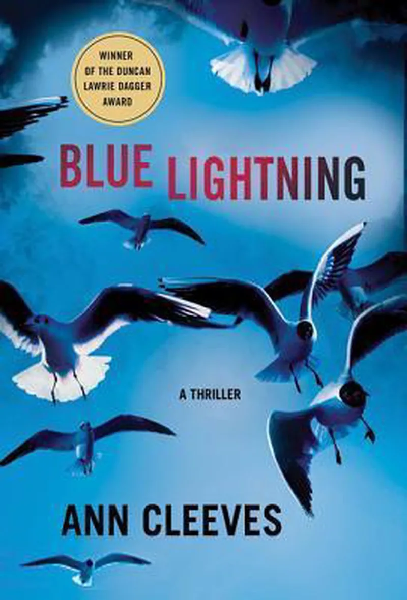 Blue Lightning von Pan Macmillan – Buchfoto