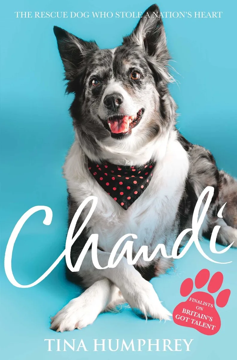 Chandi de Pan Macmillan – photo du livre