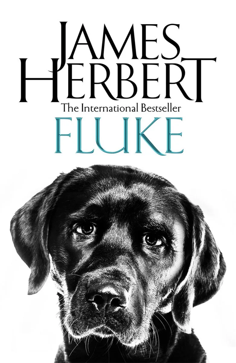 Fluke von Pan Macmillan – Buchfoto