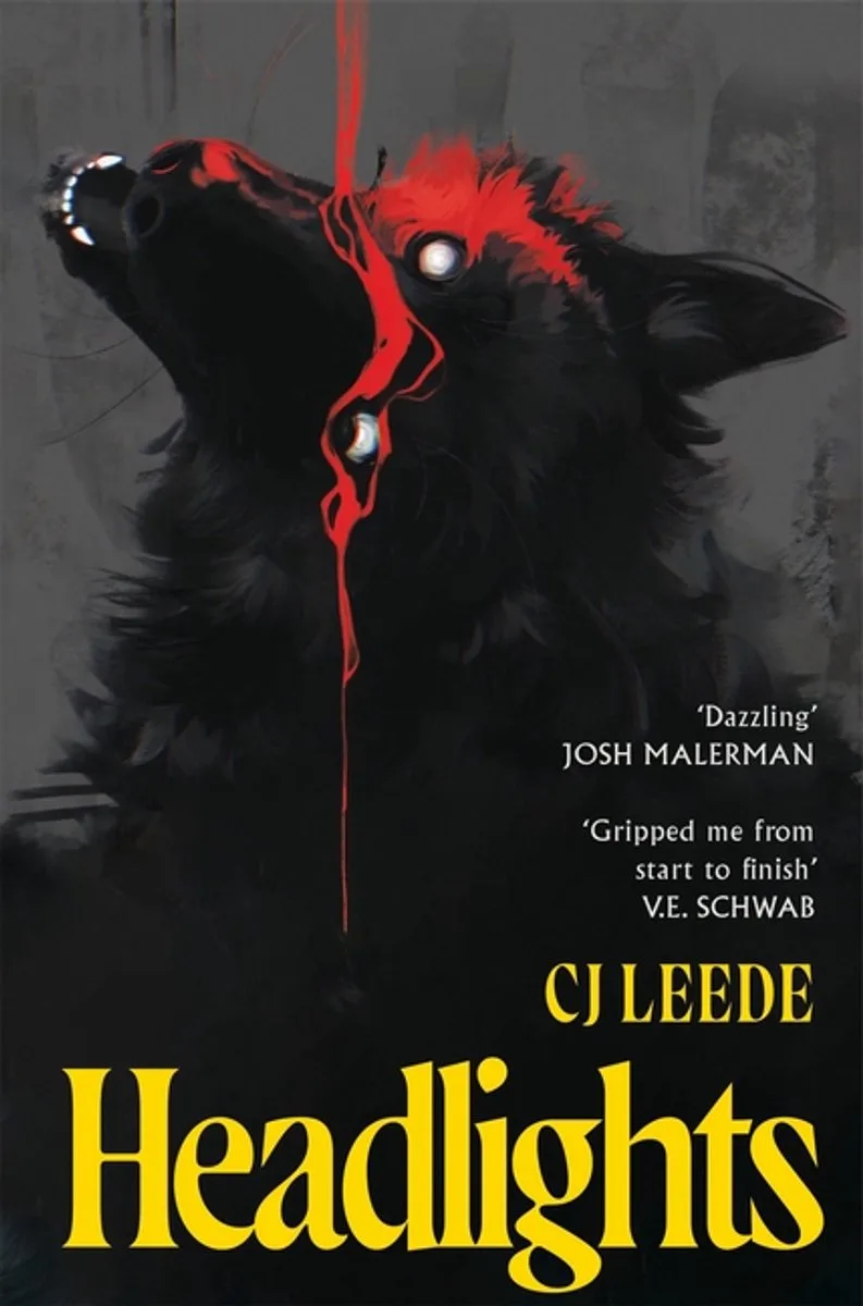 Headlights de Pan Macmillan – photo du livre