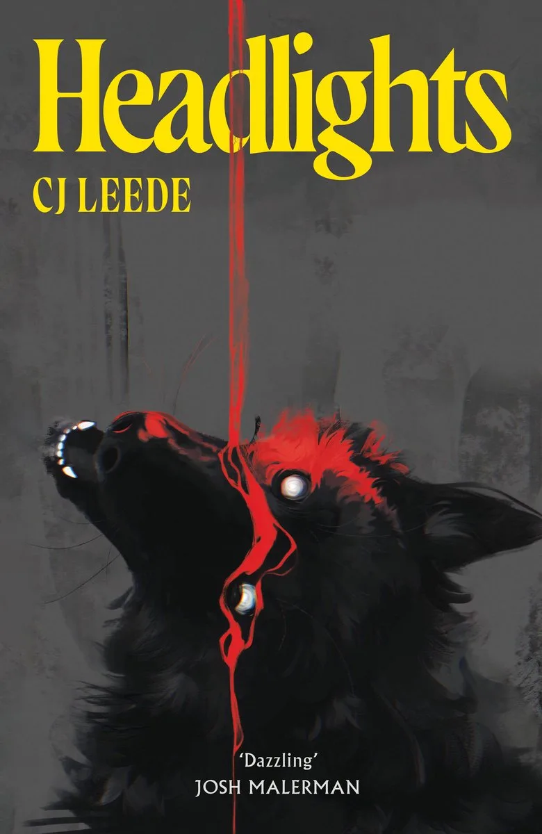 Headlights de Pan Macmillan – photo du livre