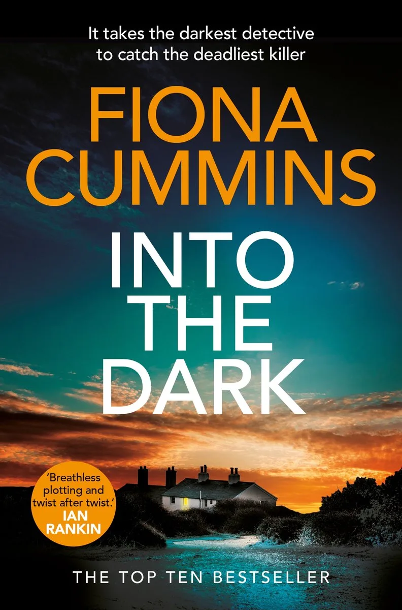 Into the Dark fra Pan Macmillan – billede af bogen