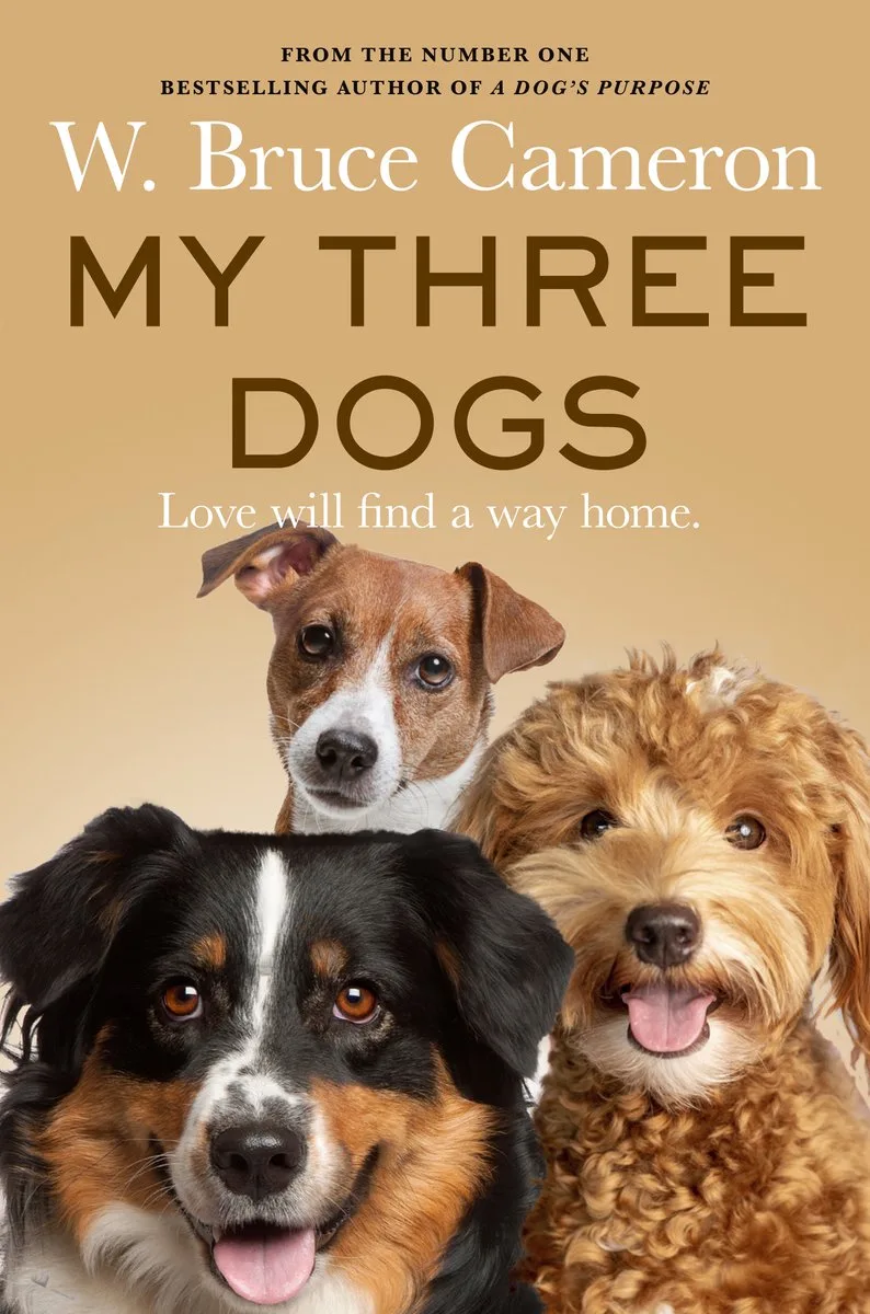 My Three Dogs von Pan Macmillan – Buchfoto