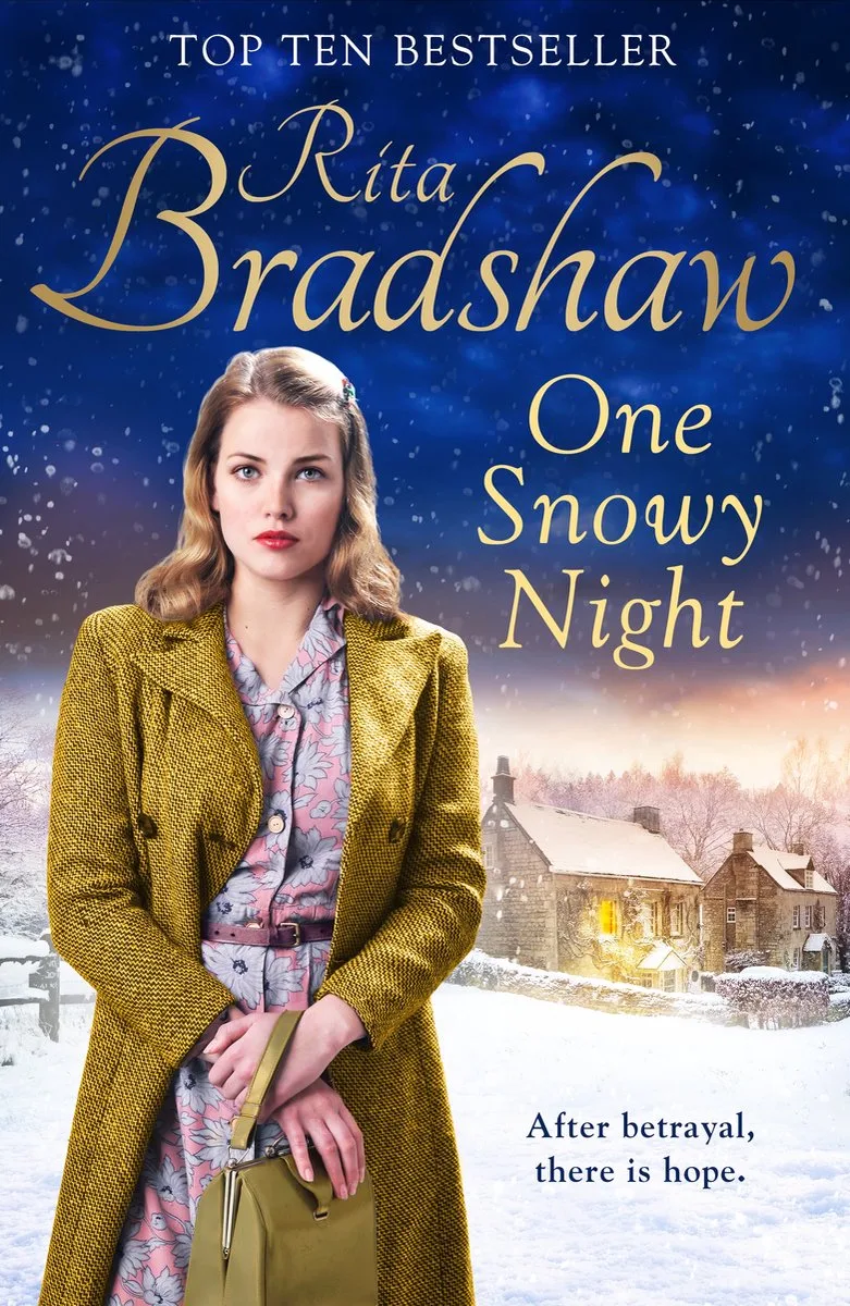 One Snowy Night fra Pan Macmillan – billede af bogen