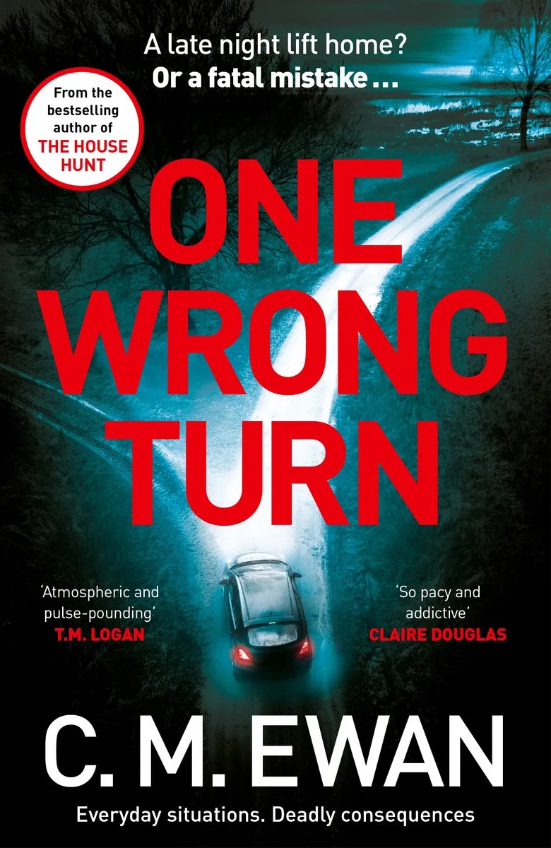 One Wrong Turn de Pan Macmillan – photo du livre