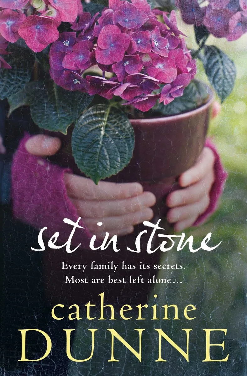 Set in Stone fra Pan Macmillan – billede af bogen