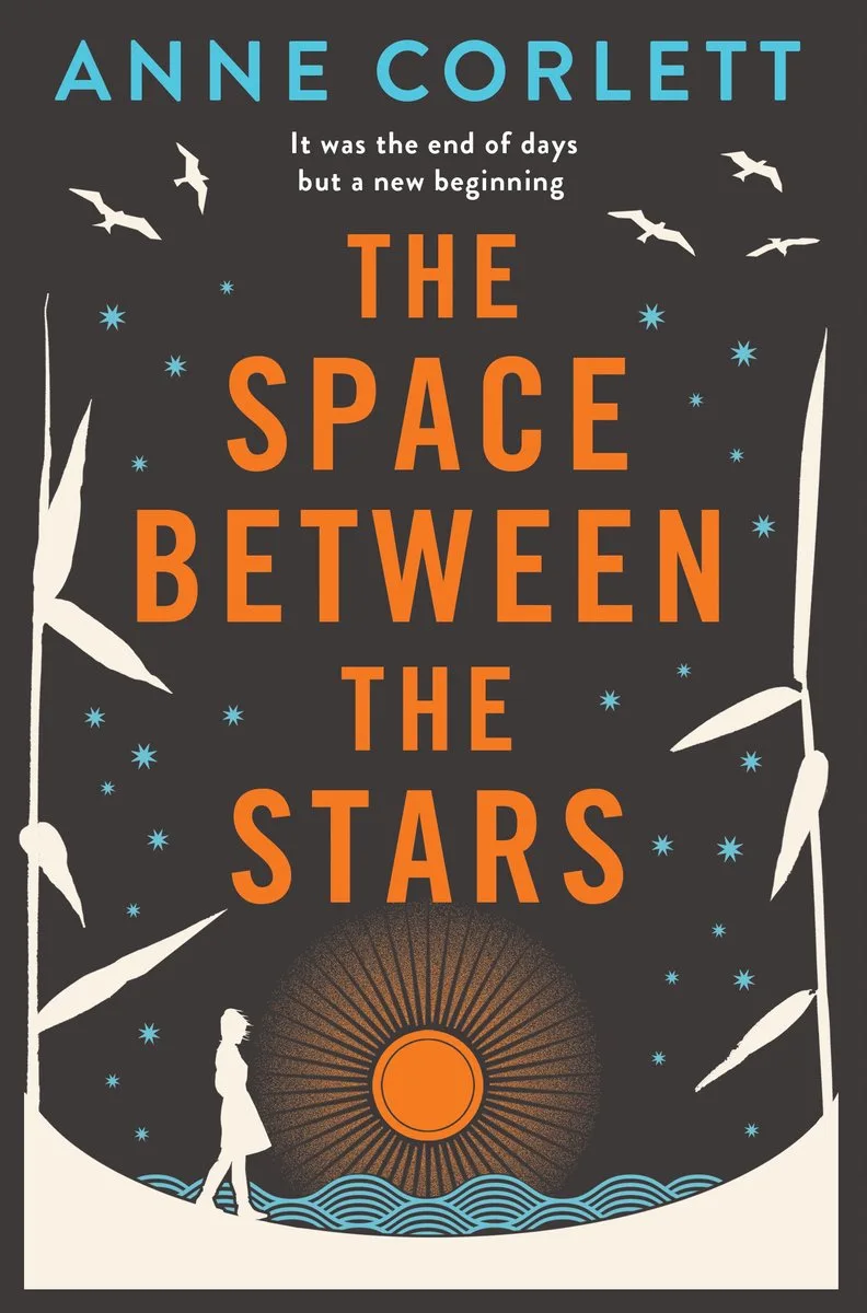 Space Between the Stars von Pan Macmillan – Buchfoto