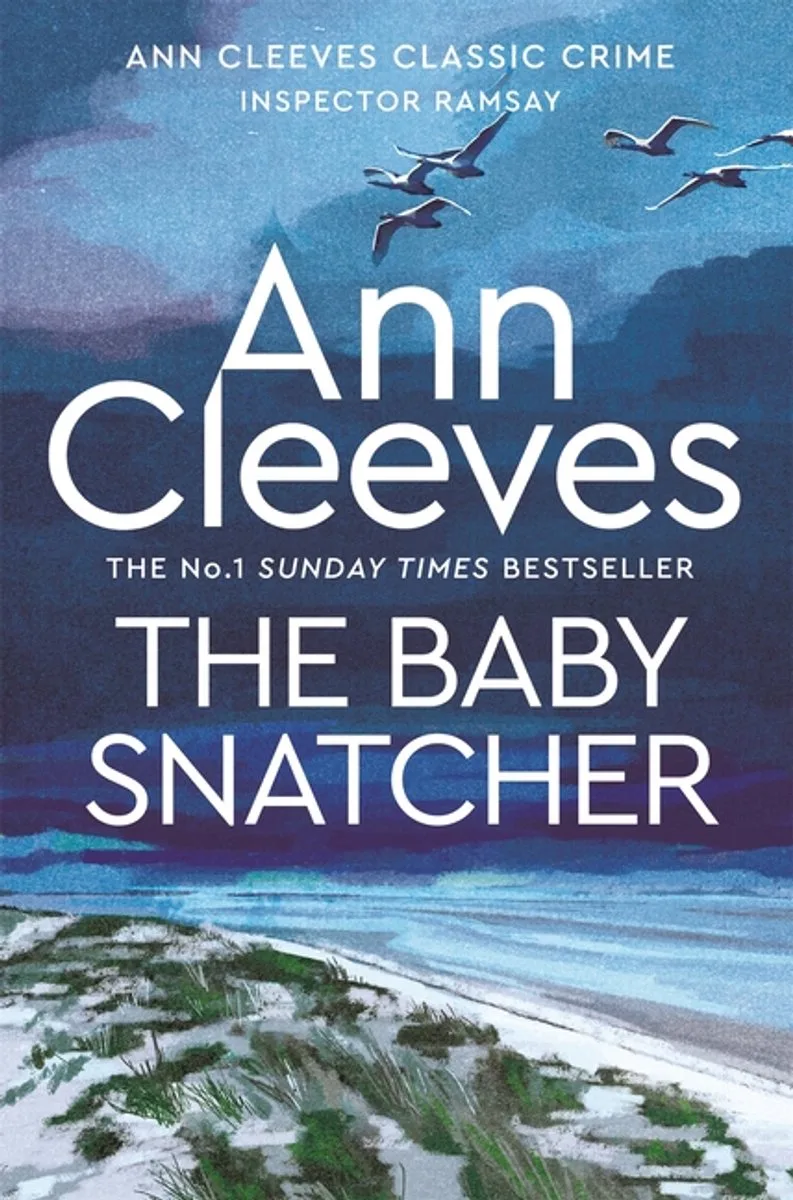 The Baby-snatcher von Pan Macmillan – Buchfoto