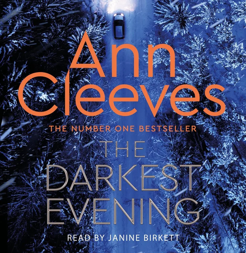 The Darkest Evening von Pan Macmillan – Buchfoto