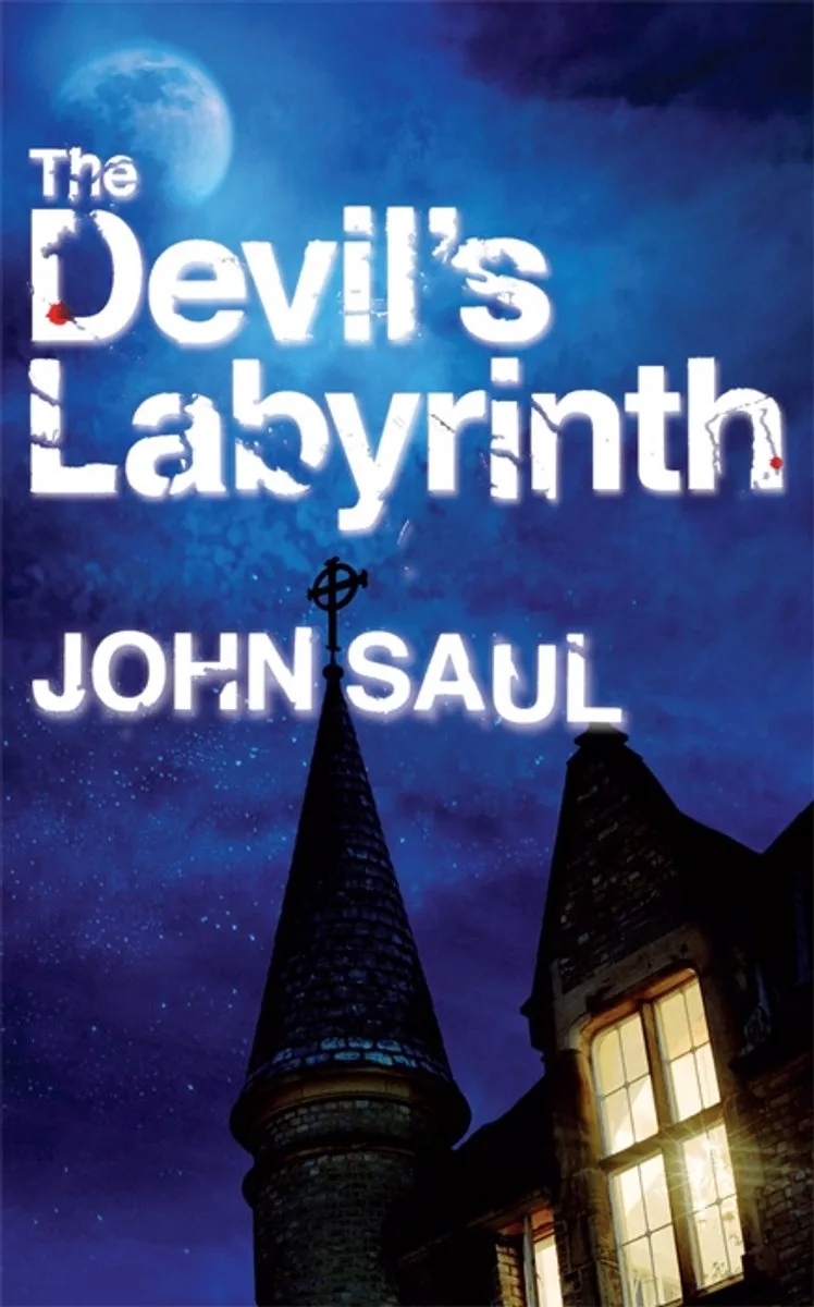 The Devil's Labyrinth von Pan Macmillan – Buchfoto