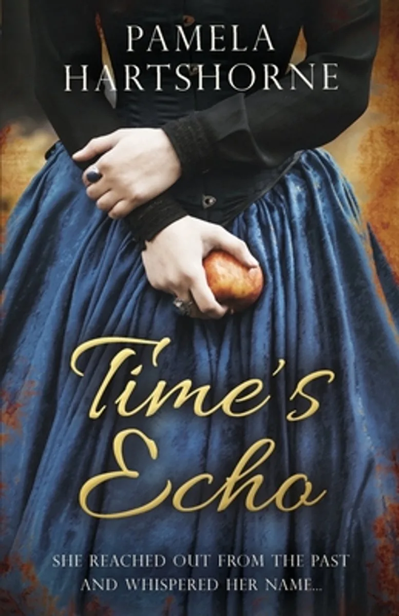 Time's Echo de Pan Macmillan – photo du livre