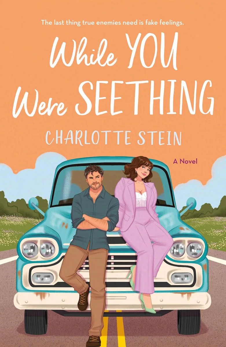 While You Were Seething fra Pan Macmillan – billede af bogen