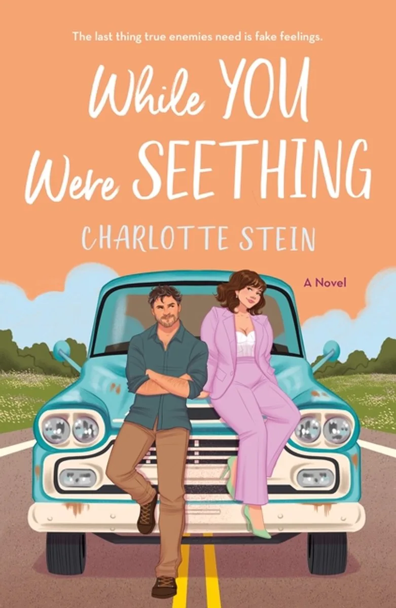 While You Were Seething von Pan Macmillan – Buchfoto