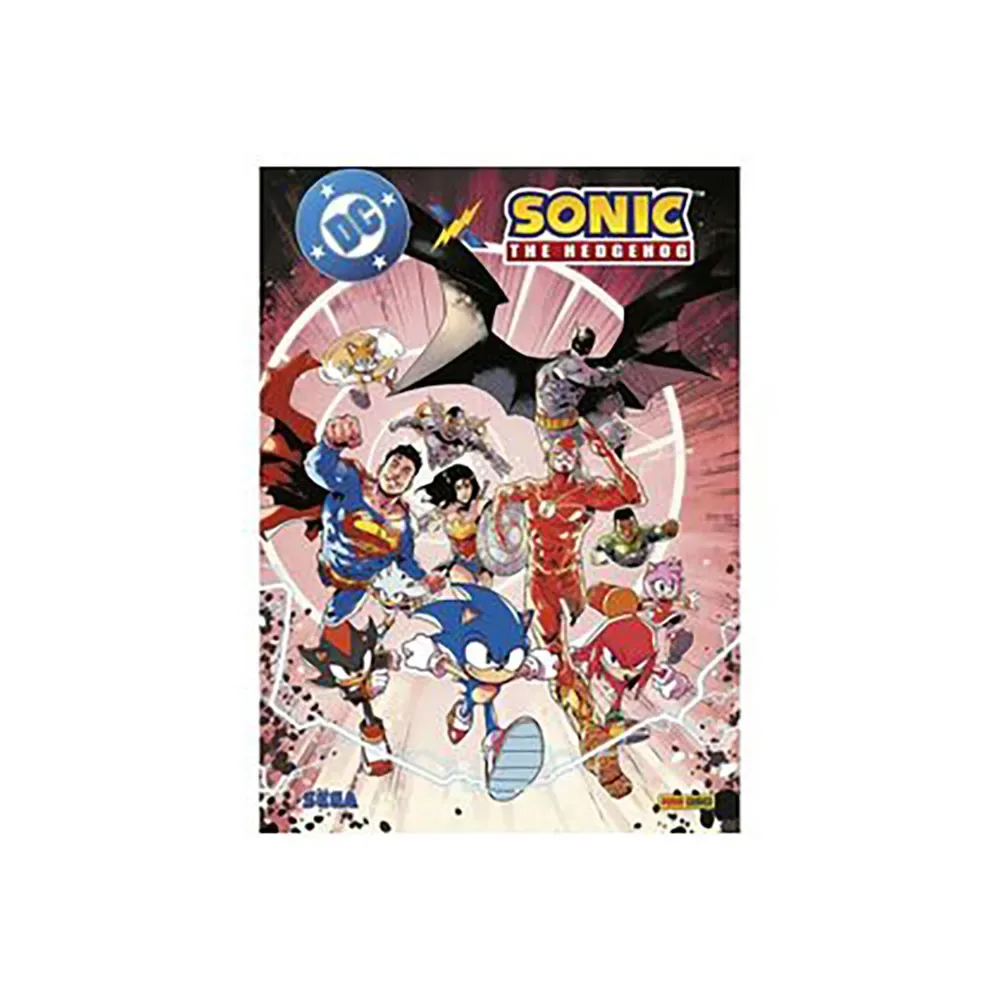Dc X Sonic 1 by Panini – book photo