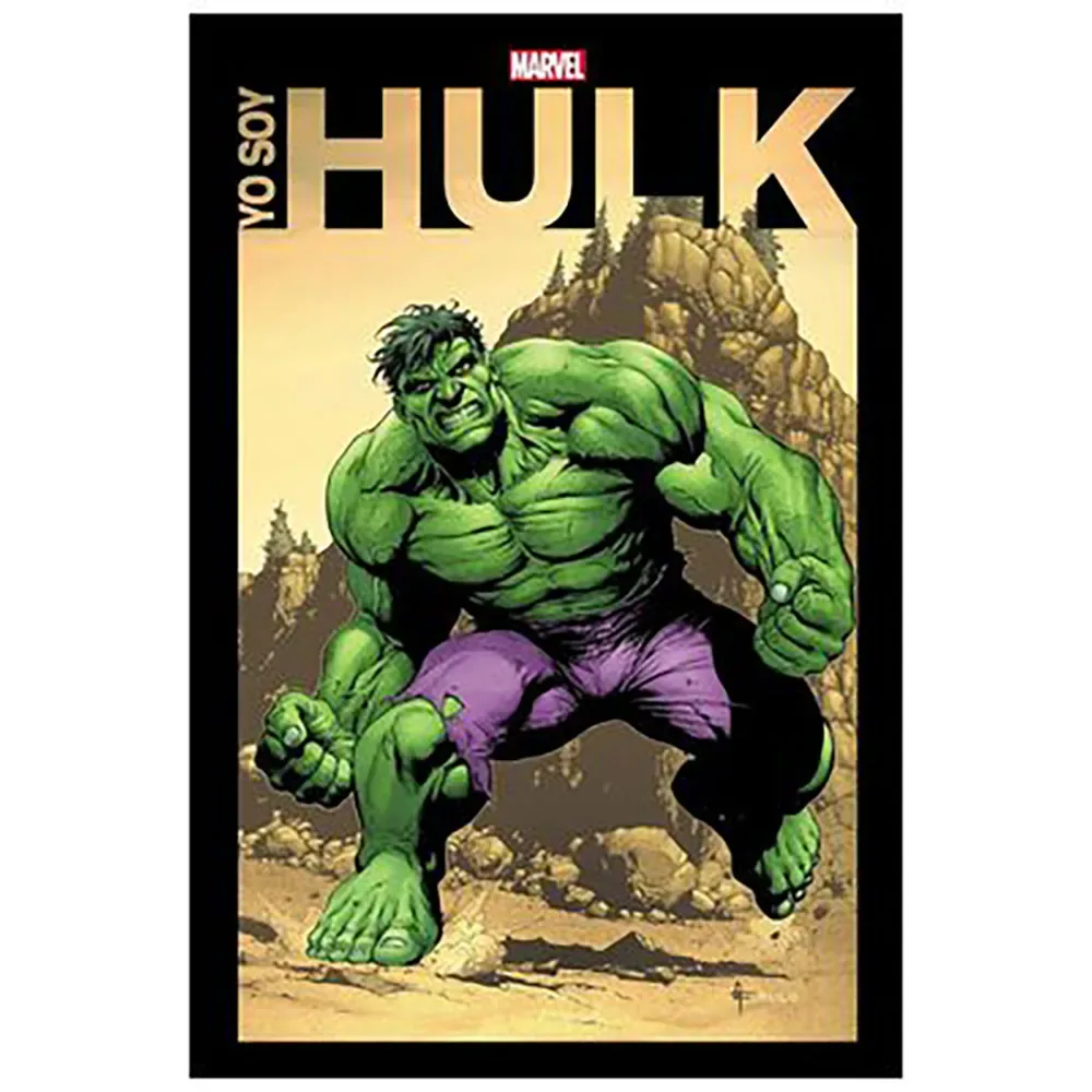 Yo Soy Hulk Comic von Panini – Buchfoto