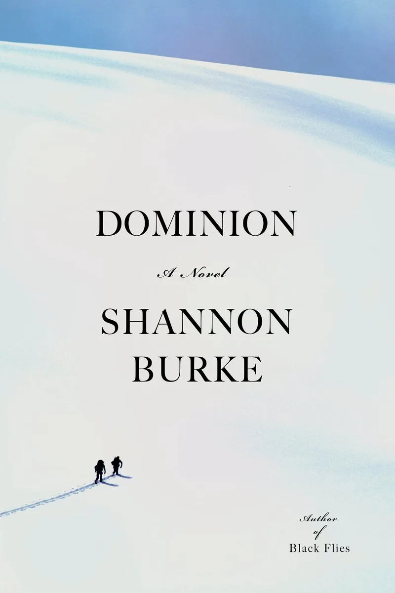 Dominion de Pantheon – photo du livre