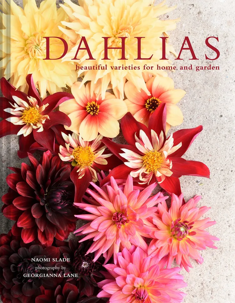 Dahlias von Pavilion – Buchfoto