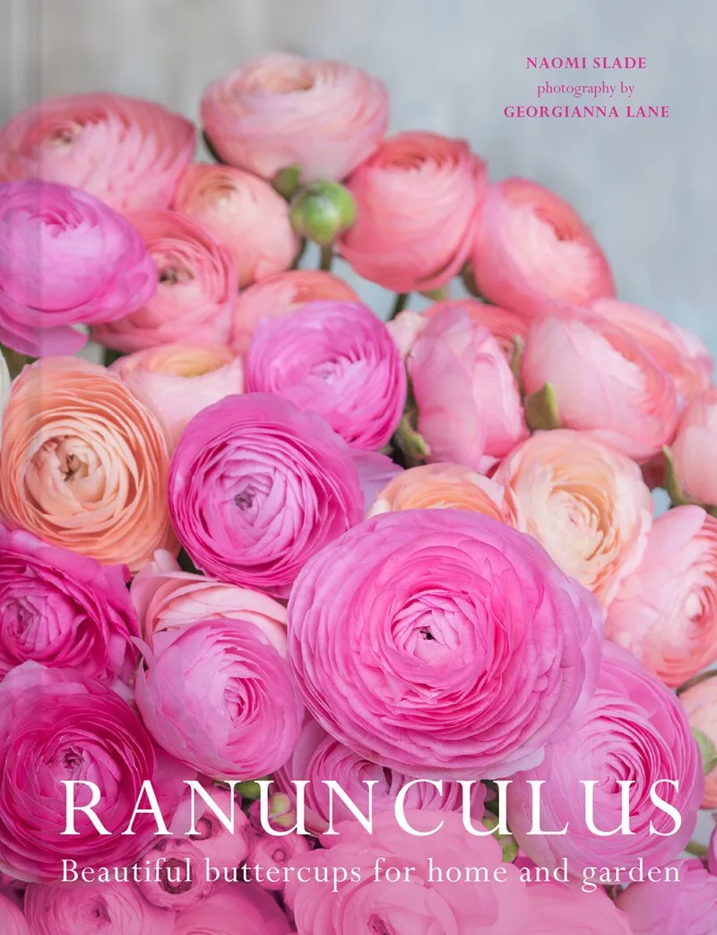 Ranunculus de Pavilion – photo du livre