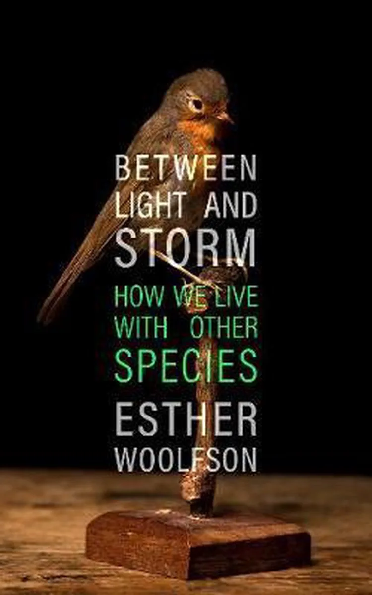 Between Light and Storm von Pegasus Books – Buchfoto