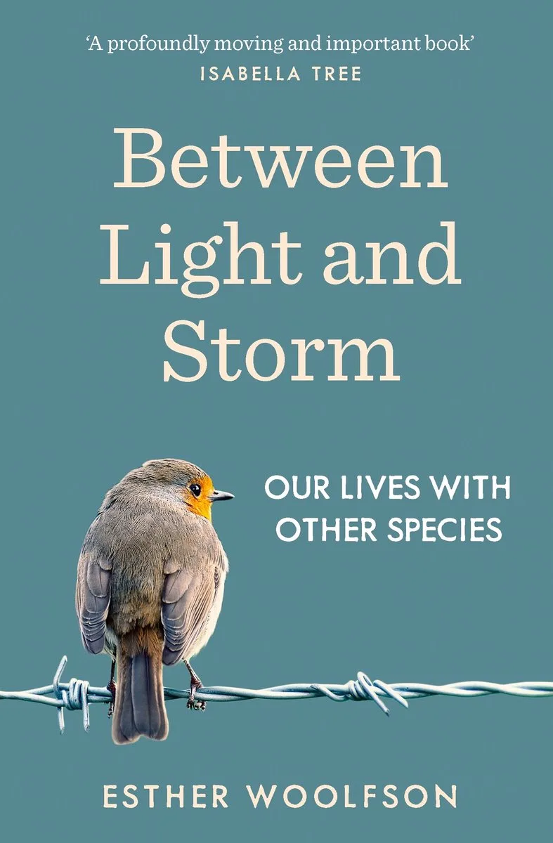 Between Light and Storm von Pegasus Books – Buchfoto
