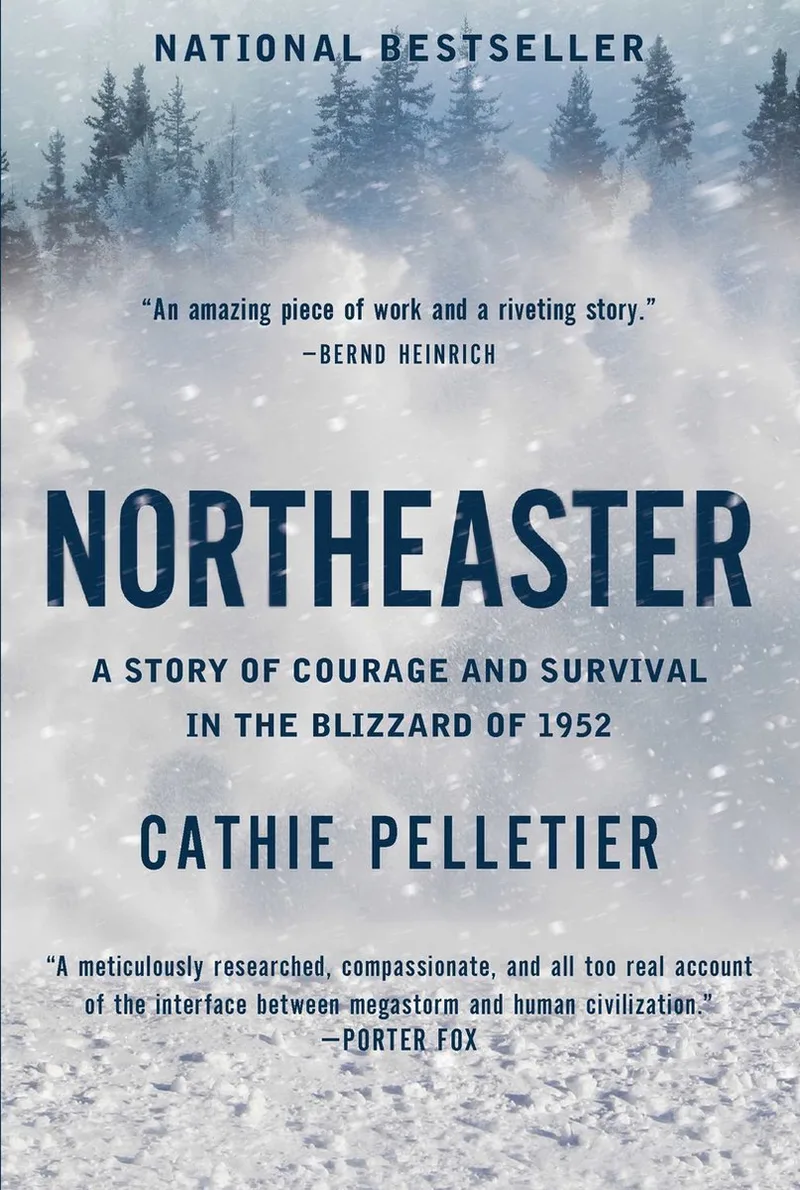 Northeaster de Pegasus Books – photo du livre
