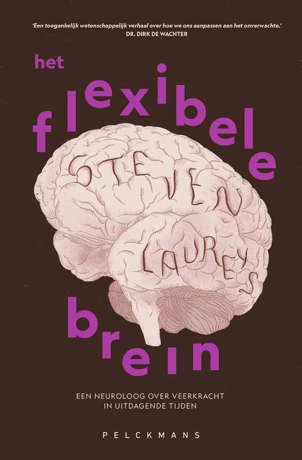 Het flexibele brein von Pelckmans – Buchfoto