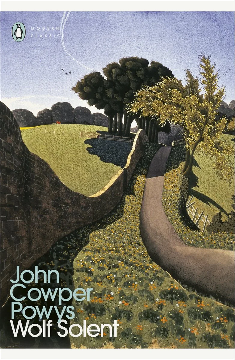 Penguin Modern Classics- Wolf Solent von Penguin Classics – Buchfoto
