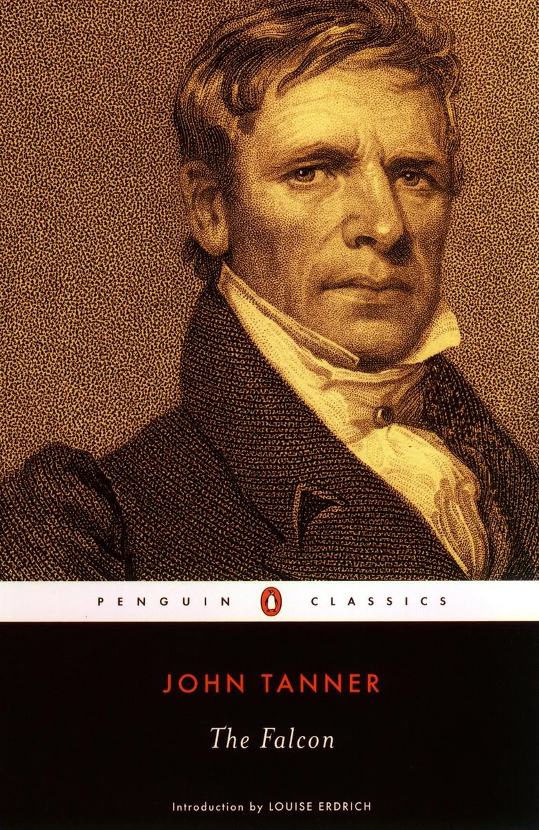 The Falcon de Penguin Classics – photo du livre