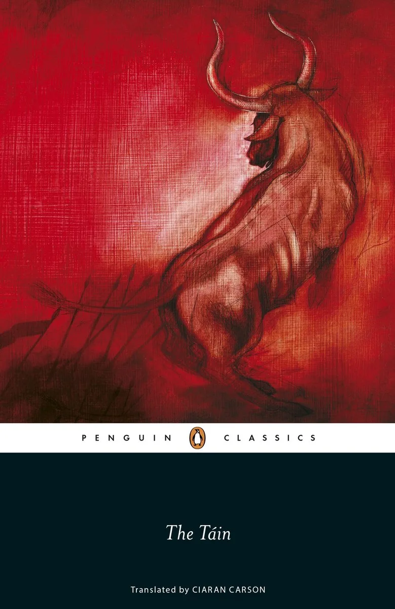 The Tain von Penguin Classics – Buchfoto