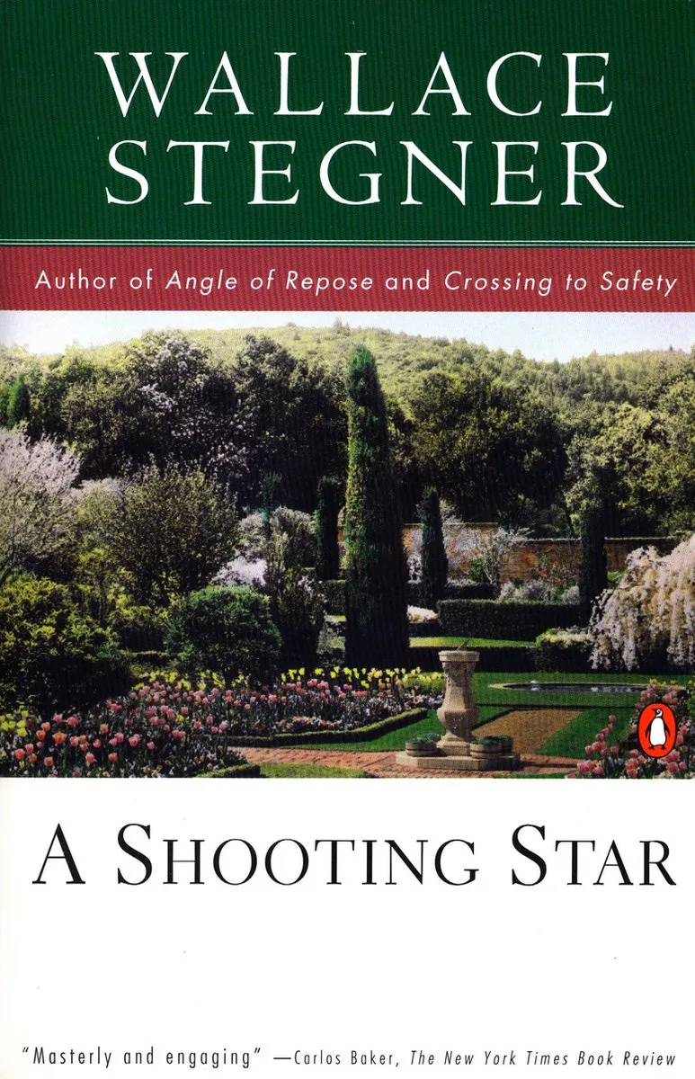 A Shooting Star von Penguin – Buchfoto