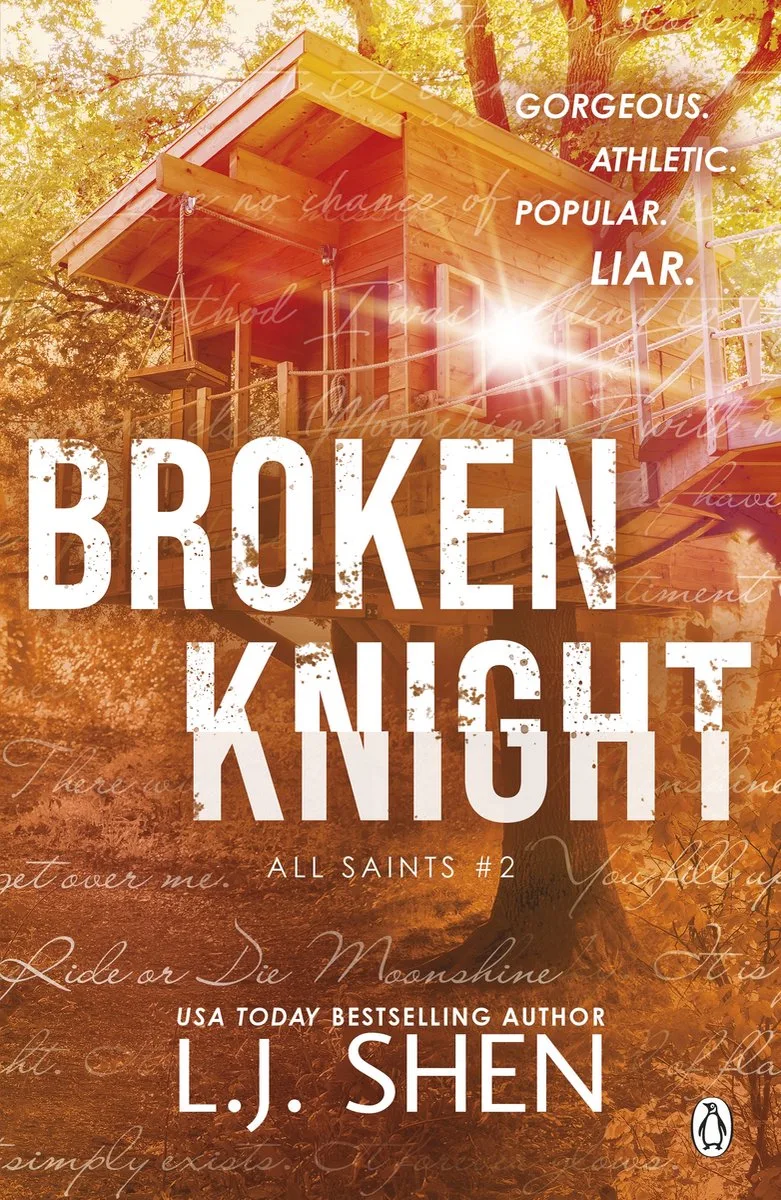 Broken Knight de Penguin – photo du livre