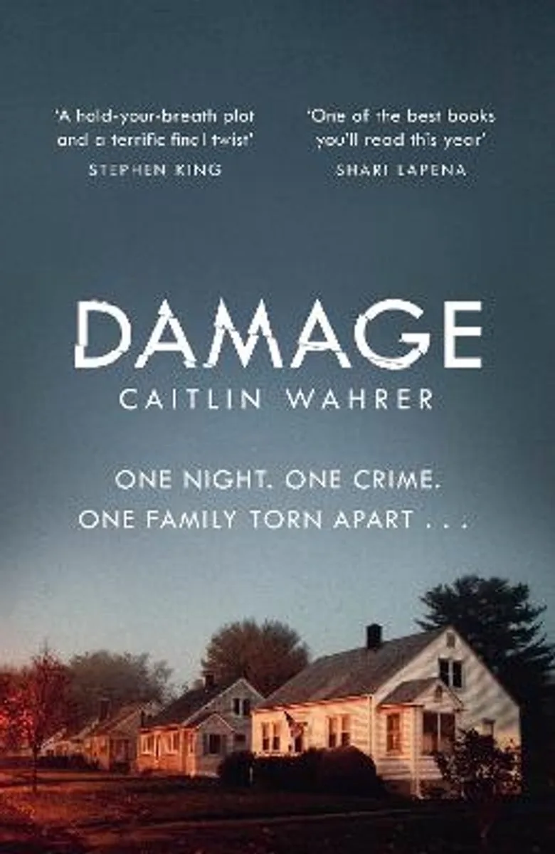 Damage van Penguin – boekfoto