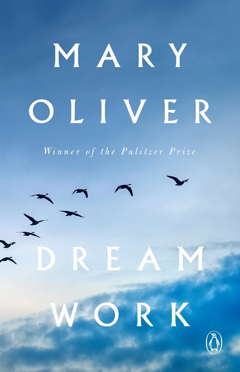 Dream Work de Penguin – photo du livre