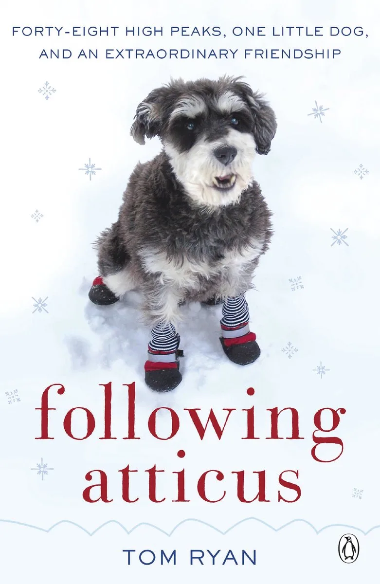 Following Atticus von Penguin – Buchfoto