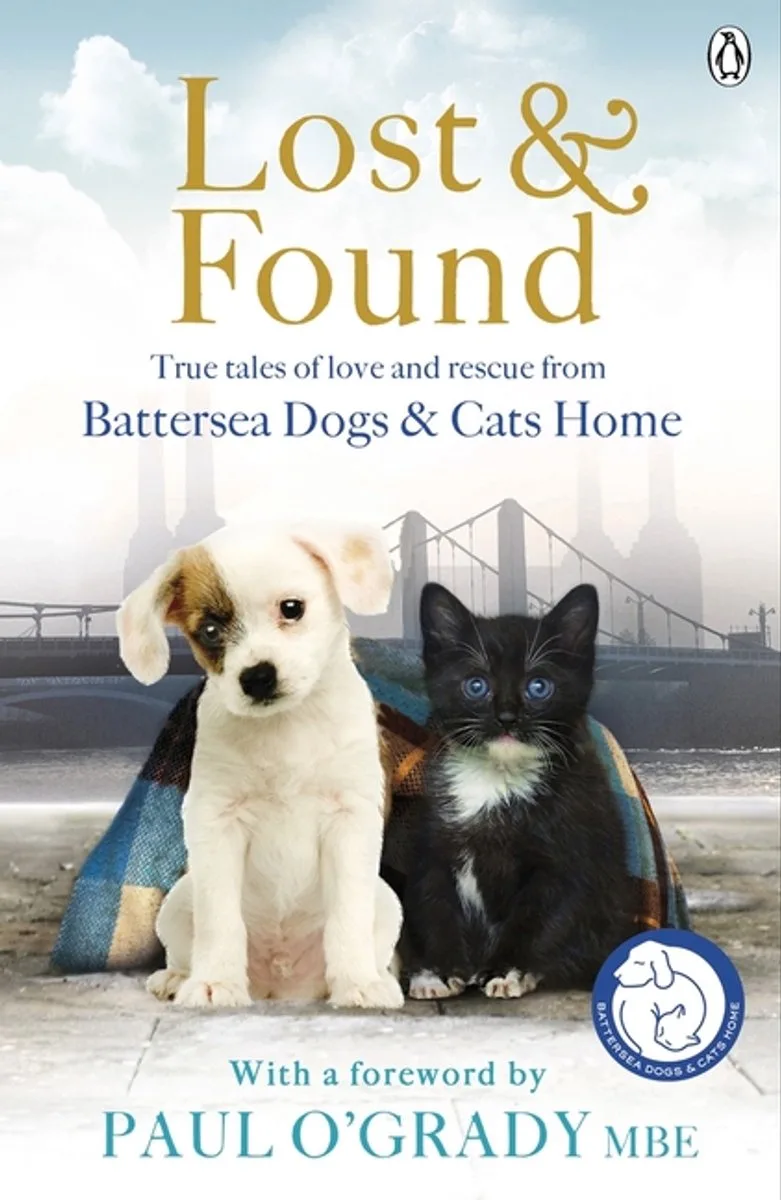 Lost & Found van Penguin – boekfoto