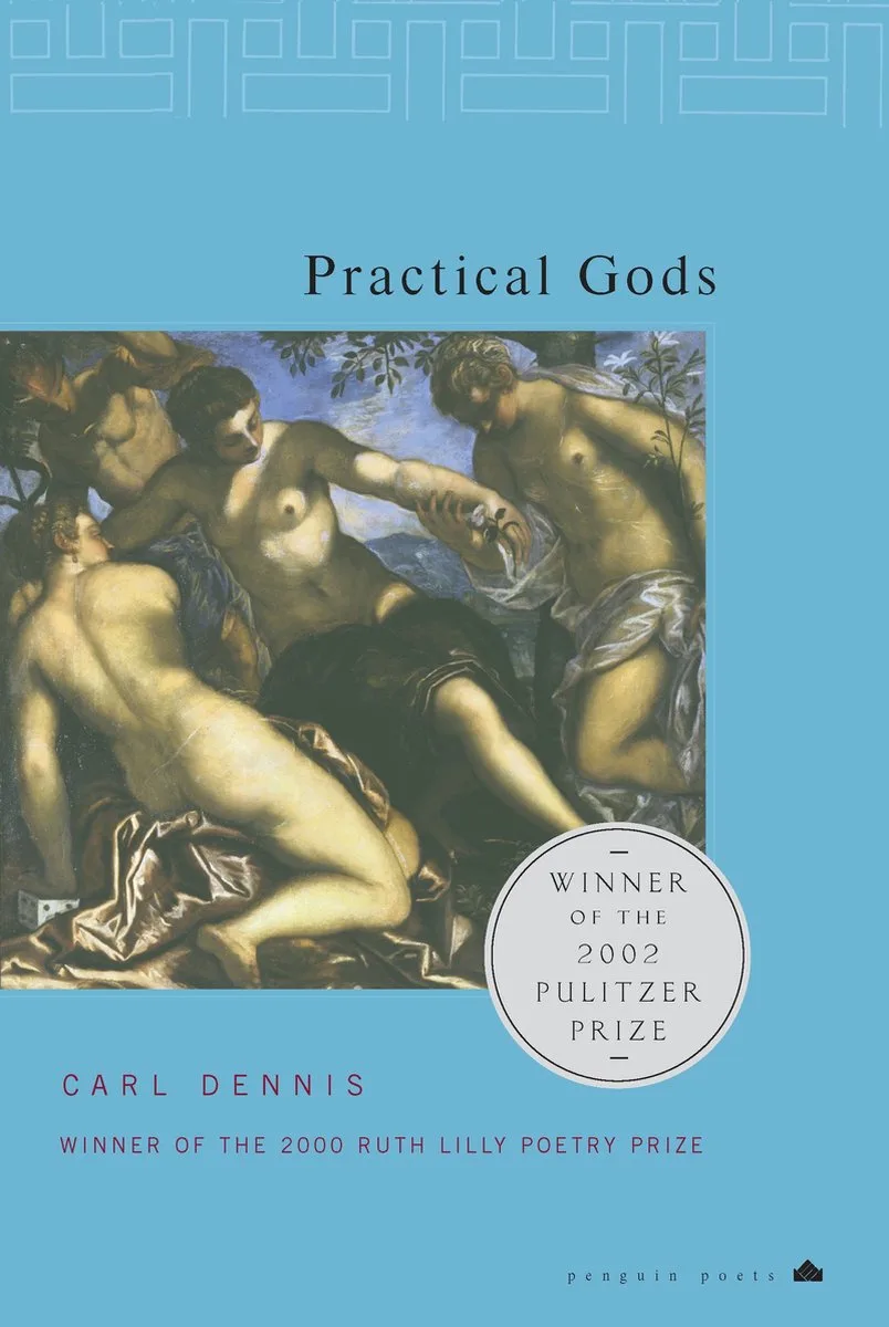 Practical Gods by Penguin – book photo