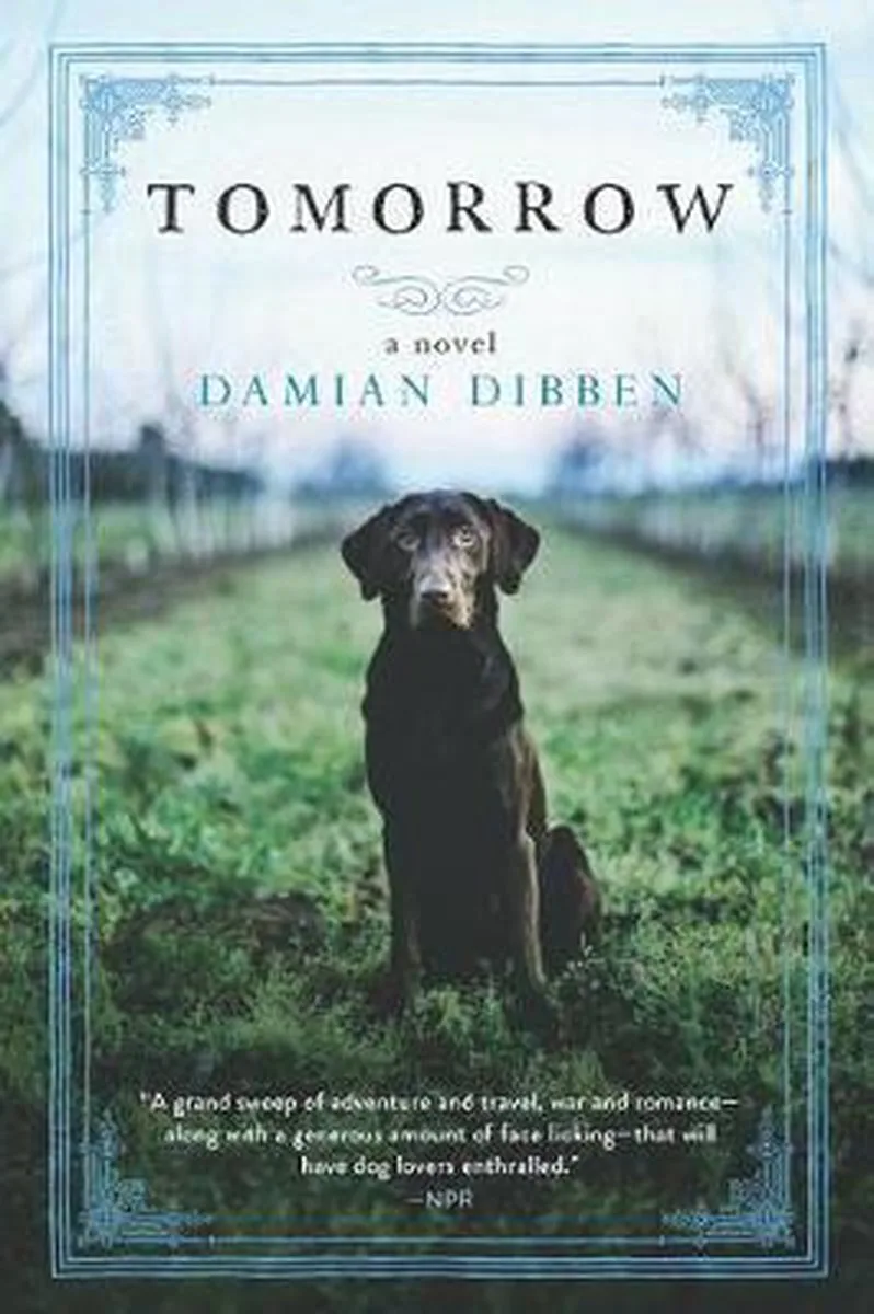 Tomorrow fra Penguin – billede af bogen