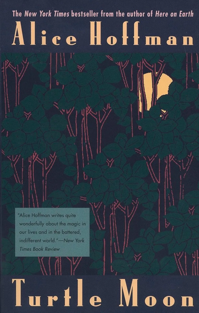 Turtle Moon von Penguin – Buchfoto