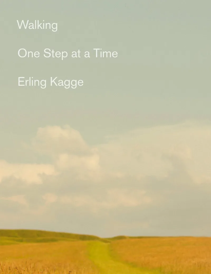 Walking One Step at a Time van Penguin – boekfoto