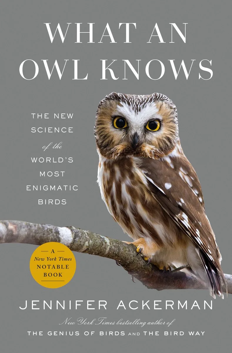 What an Owl Knows von Penguin – Buchfoto