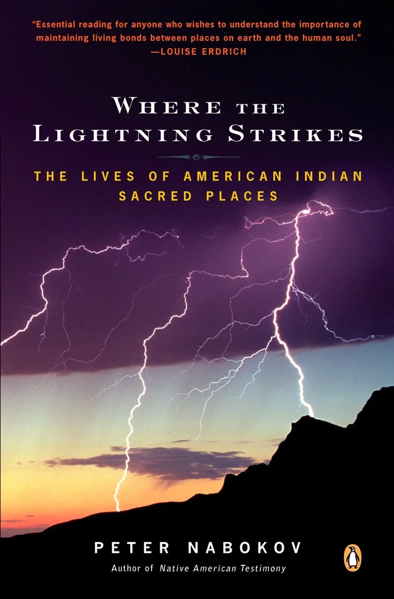 Where the Lightning Strikes fra Penguin – billede af bogen
